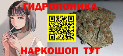 эйфоретик Малгобек