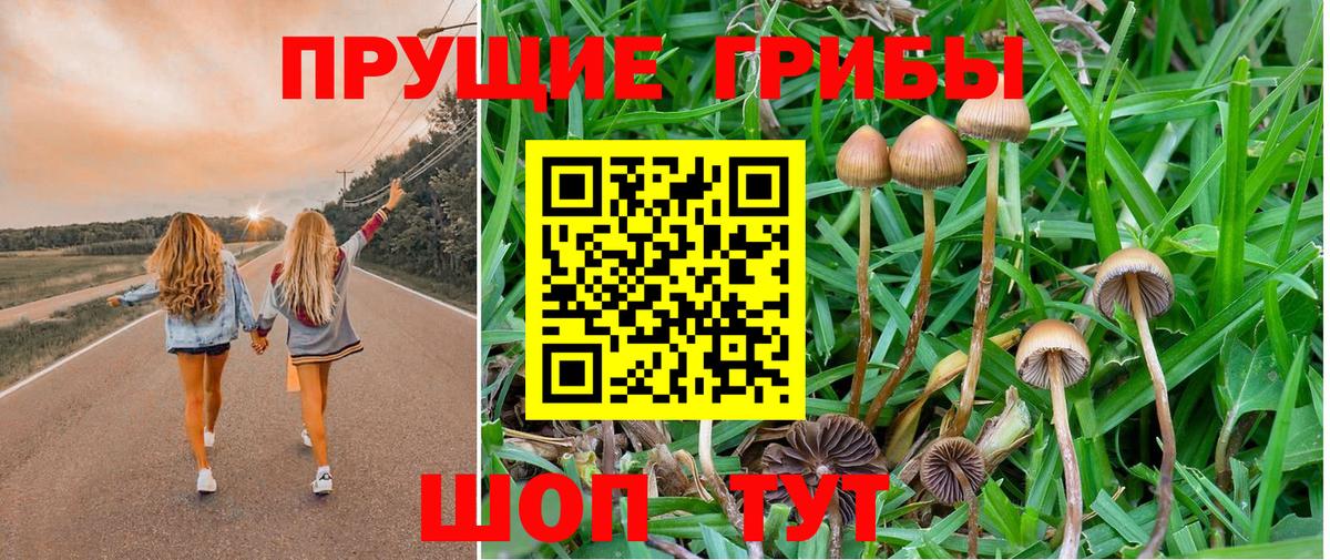 Псилоцибиновые грибы GOLDEN TEACHER Владимир